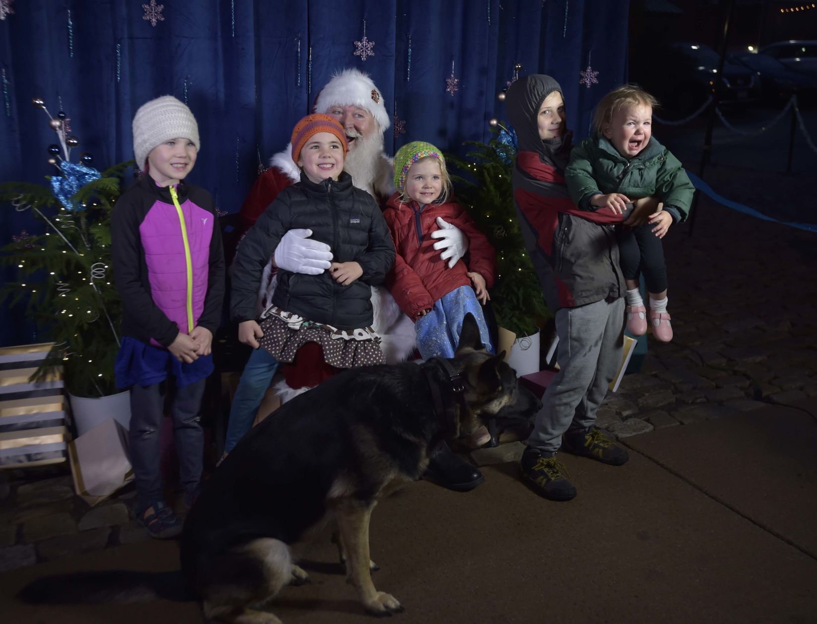Christmas Tree Lighting 08